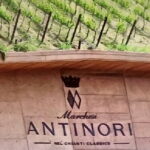 Full day 9h Private Tours 3 Top Wineries, Florence Limo Service - Why This Tour Offers Great Value