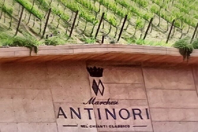 Full day 9h Private Tours 3 Top Wineries, Florence Limo Service - Why This Tour Offers Great Value