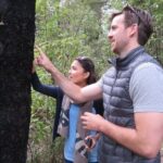 Full-Day Abel Tasman National Park Hiking Tour with Cruise - Authentic Insights from Tour Reviews