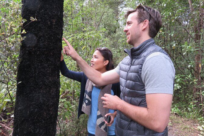 Full-Day Abel Tasman National Park Hiking Tour with Cruise - Authentic Insights from Tour Reviews