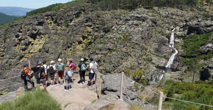 FULL DAY - ALVAO PARK - FISGAS ERMELO WATERFALLS W/ TRANSFER - Exploring the Details of the Tour