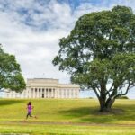 Full-day Auckland City & Rainforest Private Tour by Car - Why This Tour Offers Great Value