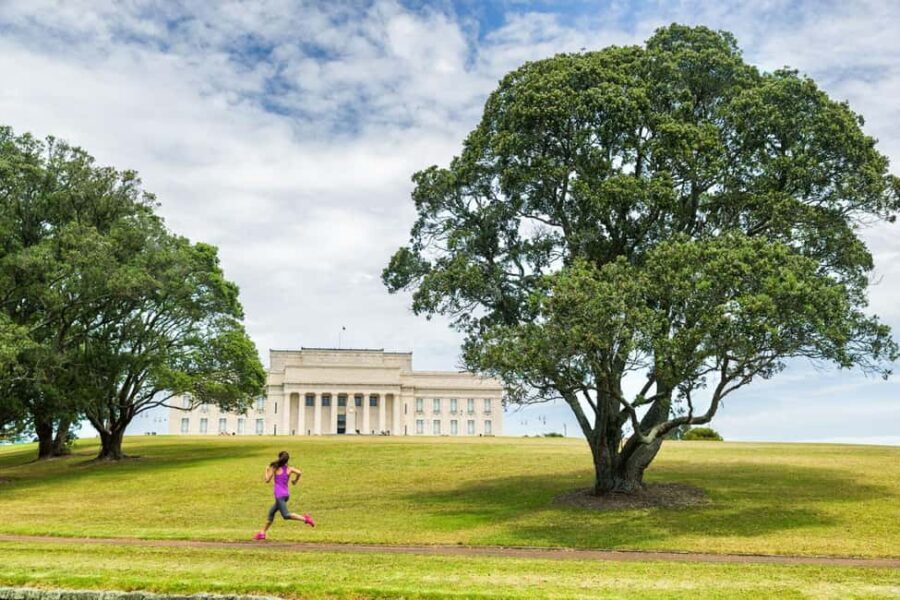 Full-day Auckland City & Rainforest Private Tour by Car - Why This Tour Offers Great Value