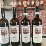 Full day Barolo&Barbaresco Wine Tour from Milano with a local winemaker - Understanding the Value