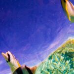 Full-Day Bora Bora Lagoon Cruise Including Snorkeling with Sharks and Stingrays - Final Thoughts: Is It Worth It?