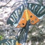 Full Day Butterflies and Boat Tour to Chalki Island - The Itinerary in Detail