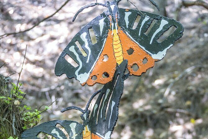 Full Day Butterflies and Boat Tour to Chalki Island - The Itinerary in Detail
