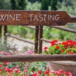 Full-Day Chianti Tour by Vespa Scooter from San Gimignano - Who Will Love This Tour?