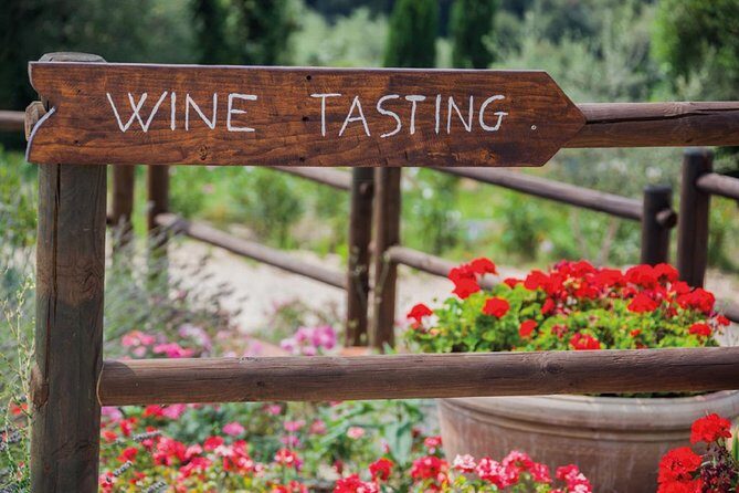 Full-Day Chianti Tour by Vespa Scooter from San Gimignano - Who Will Love This Tour?