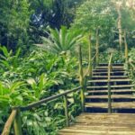 Full-Day Coral Coast Private Guided Tour - Frequently Asked Questions