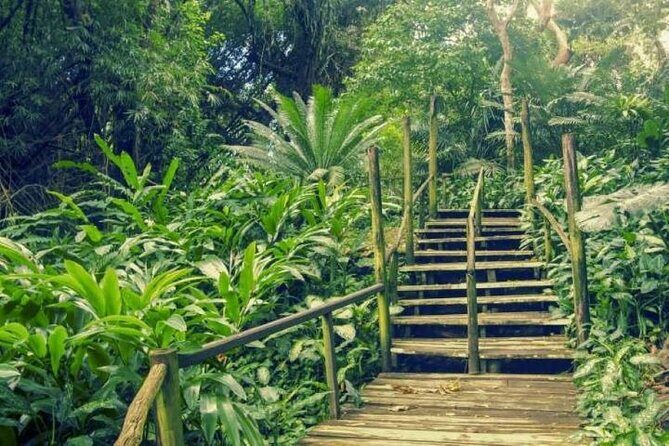 Full-Day Coral Coast Private Guided Tour - Frequently Asked Questions
