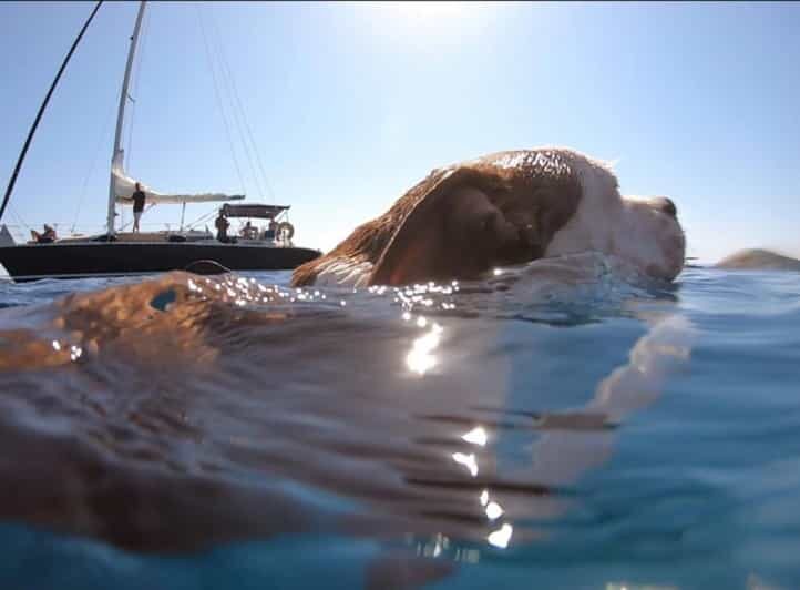 Full Day Cruise in Athenian Riviera - An In-Depth Look at the Full Day Cruise