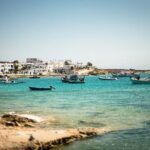 Full-Day Cruise to Irakleia & Koufonisi Islands from Paros - Who Should Consider This Tour?
