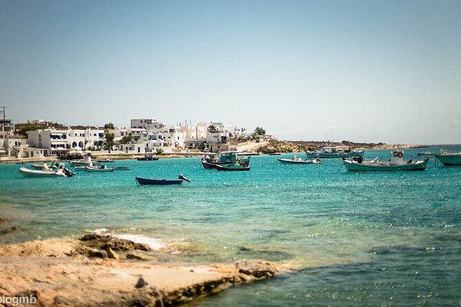 Full-Day Cruise to Irakleia & Koufonisi Islands from Paros - Who Should Consider This Tour?