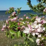 Full-Day customized Tour in Estonia. NB! Min 2 Persons - FAQ