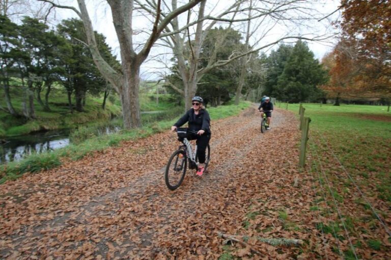 Full Day Ebike Tour - Karangahake Gorge NZ - The Value of This Tour