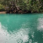 Full-Day Efate Round Island Trip with Yumi Tours - Who Should Book?