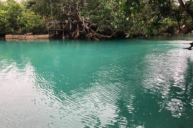 Full-Day Efate Round Island Trip with Yumi Tours - Who Should Book?