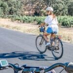 Full-Day Electric Bike Rental - The Sum Up