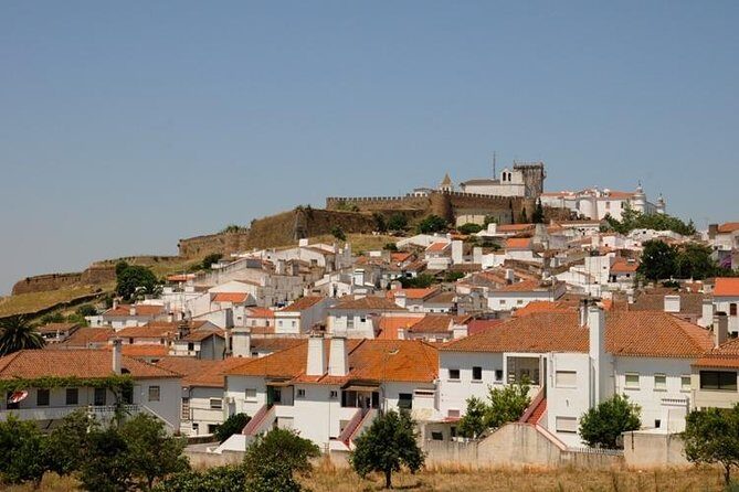 Full Day Evora Tour - Who Should Take This Tour?