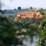 Full day experience | Tasting & art among the Orvieto vineyards - Discovering Orvieto: Italy’s Enchanting Medieval Jewel