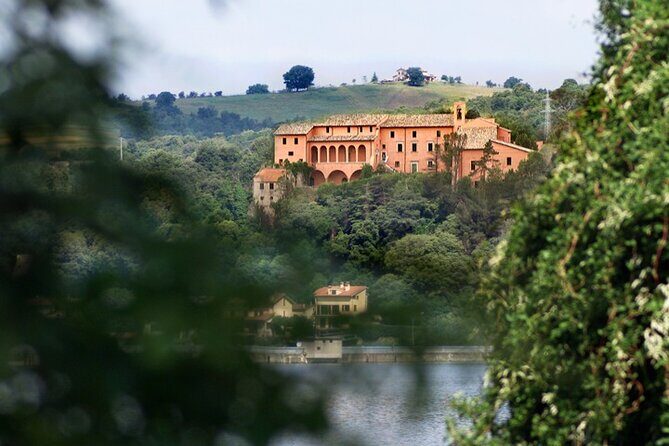 Full day experience | Tasting & art among the Orvieto vineyards - Discovering Orvieto: Italy’s Enchanting Medieval Jewel