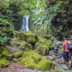 Full-Day Faial da Terra + Nordeste from Ponta Delgada - The Value of This Tour