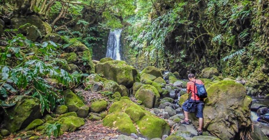 Full-Day Faial da Terra + Nordeste from Ponta Delgada - The Value of This Tour