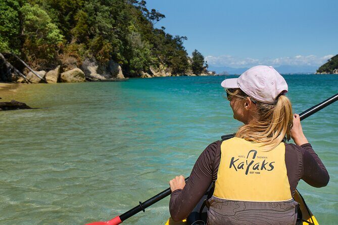 Full-Day Freedom Kayak Rental in New Zealand - Visiting Adele Island: A Birdwatcher’s Paradise