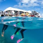 Full-Day Great Barrier Reef Pontoon with Snorkeling & Activities - Authentic Experiences from Fellow Travelers