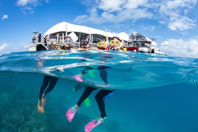 Full-Day Great Barrier Reef Pontoon with Snorkeling & Activities - Authentic Experiences from Fellow Travelers