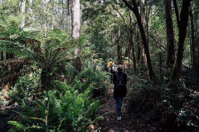 Full-Day Guided Bruny Island Tour from Hobart - Final Words