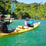 Full-Day Guided Sea Kayak Trip from Picton - A Thorough Breakdown of the Itinerary