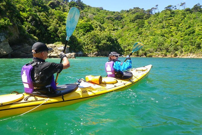 Full-Day Guided Sea Kayak Trip from Picton - A Thorough Breakdown of the Itinerary