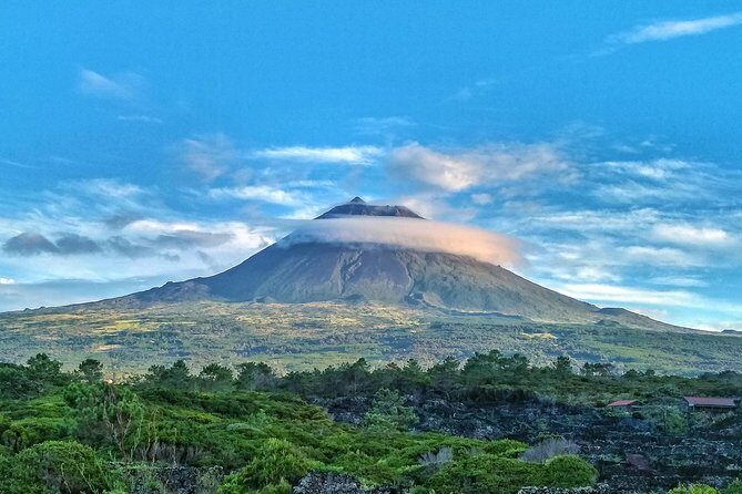 Full-Day Guided Tour in Pico Island - FAQ