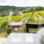 Full-Day Guided Tour on the Beautiful Mornington Peninsula. - Who Will Love This Tour?
