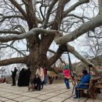 Full Day Guided Tour to Bursa and Uludag - FAQ