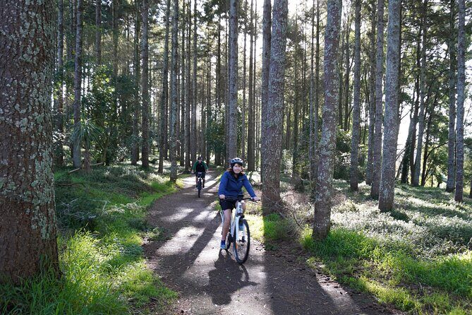 Full Day Guided Waikato River Trail E-bike Tour - Why This Tour Offers Great Value