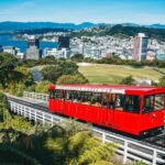 Full Day Guided Wellington Tour including Cable Car - A Closer Look at the Wellington Experience
