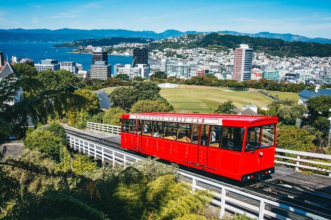 Full Day Guided Wellington Tour including Cable Car - A Closer Look at the Wellington Experience