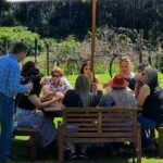 Full Day Guided Wine Tour in Mt Tamborine From Brisbane - Who Should Consider This Tour?