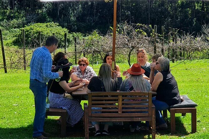 Full Day Guided Wine Tour in Mt Tamborine From Brisbane - Who Should Consider This Tour?