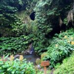 Full Day Hiking Trail Janela do Inferno + Caldeira Velha - Frequently Asked Questions (FAQs)