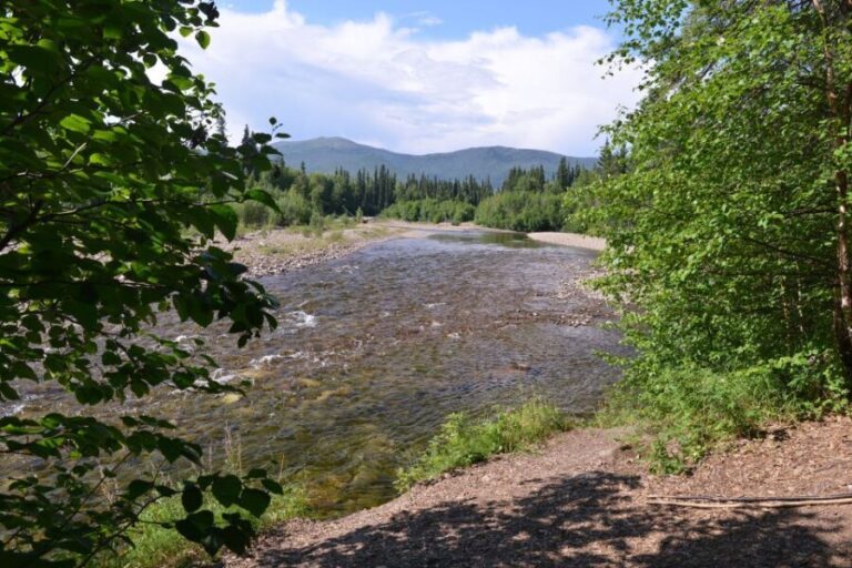 Full Day Ice Museum and Chena Hot Springs Tour - Why This Tour Works