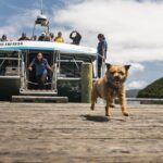 Full Day Iconic Mail Boat Cruise - The Value and Overall Impression