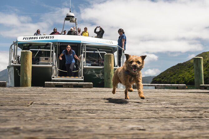 Full Day Iconic Mail Boat Cruise - The Value and Overall Impression