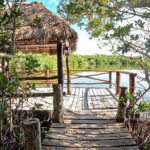 Full-Day Isla Contoy Sailing Nature Experience in Mujeres - Authentic Experiences and Practical Details