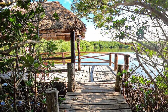 Full-Day Isla Contoy Sailing Nature Experience in Mujeres - Authentic Experiences and Practical Details