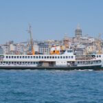 Full Day Istanbul Bosphorus Cruise and Dolmabahce Palace Tour with Private Guide - Who Will Love This Tour?