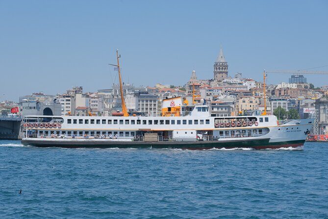Full Day Istanbul Bosphorus Cruise and Dolmabahce Palace Tour with Private Guide - Who Will Love This Tour?